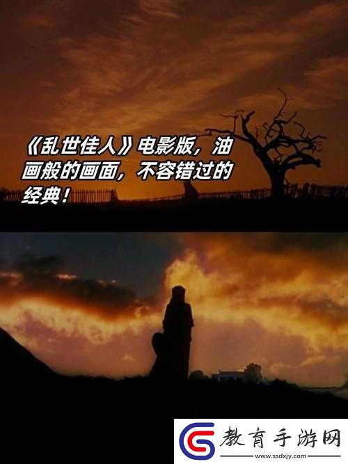 最好看的
